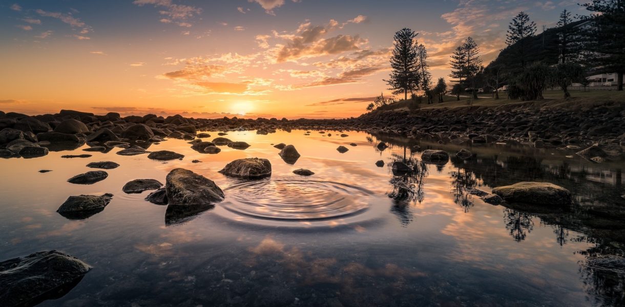 Reiki_Banner_LisaHug