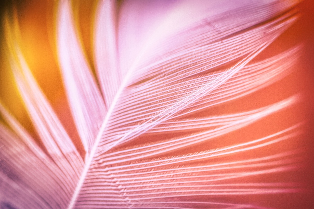 Zentrum für Sensitivität, Medialität & Bewusstseinsarbeit_Lisa Hug